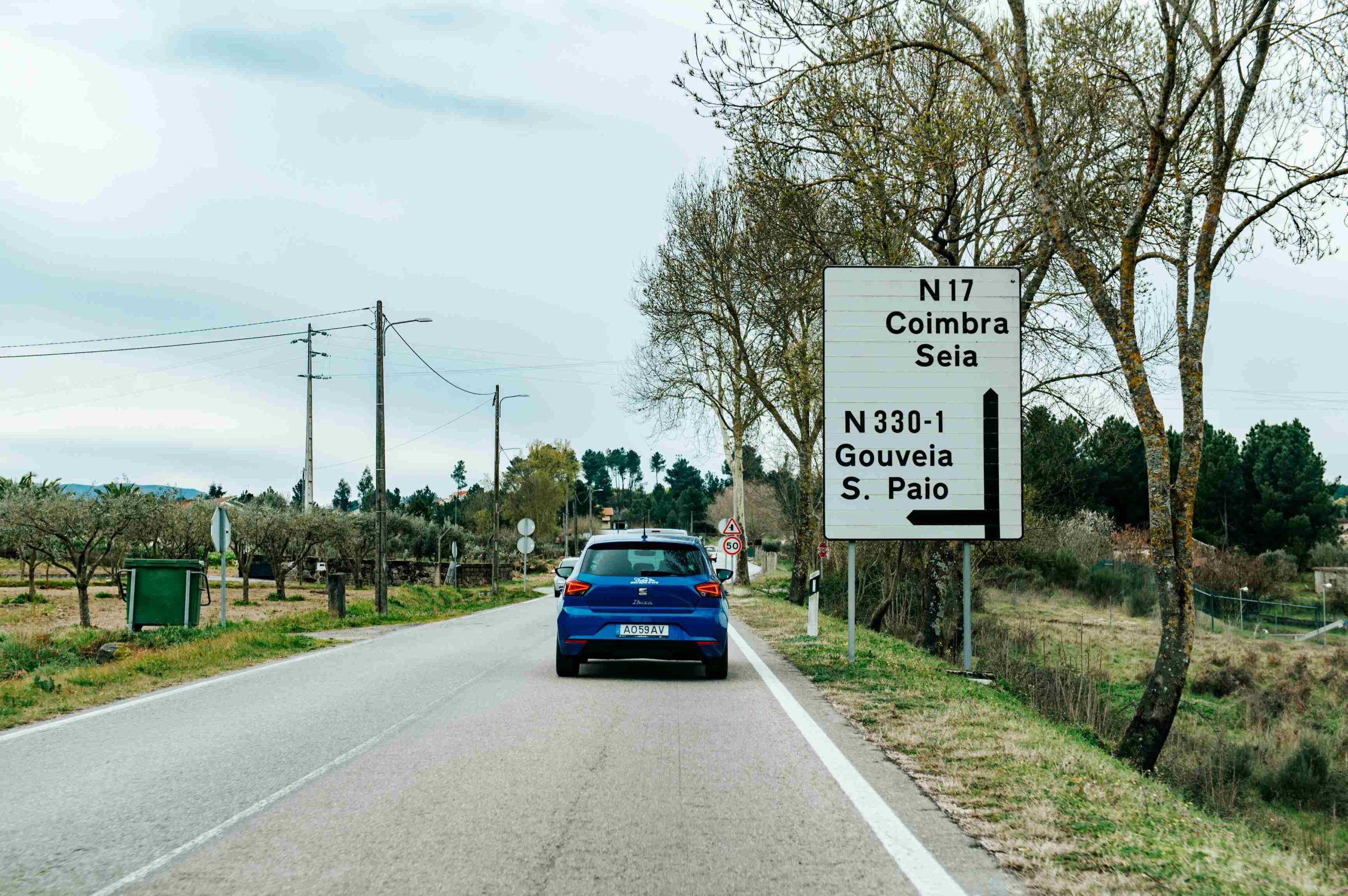 Nacional 17, vinhedos na Beira da Estrada