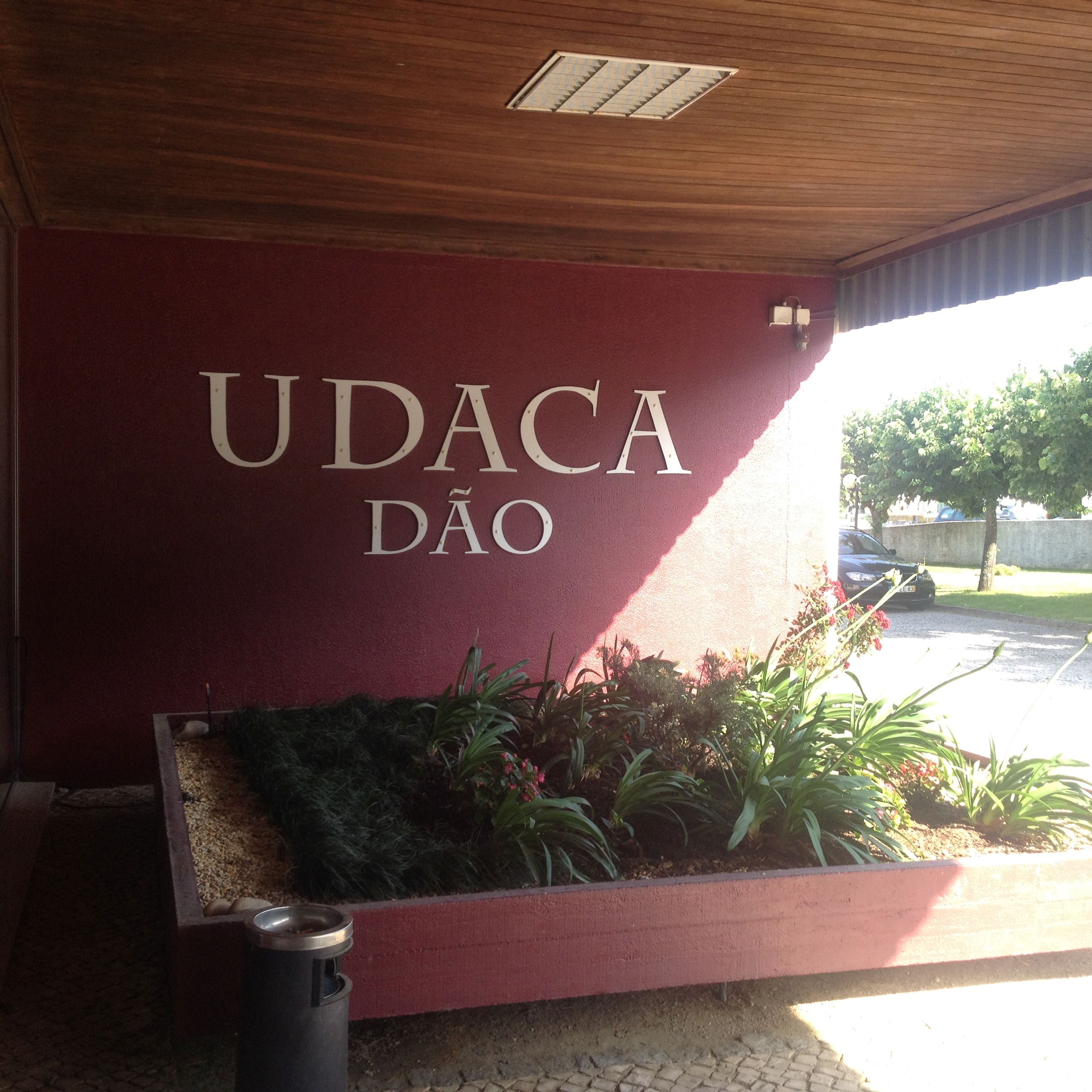 2025 Ano Internacional das Cooperativas