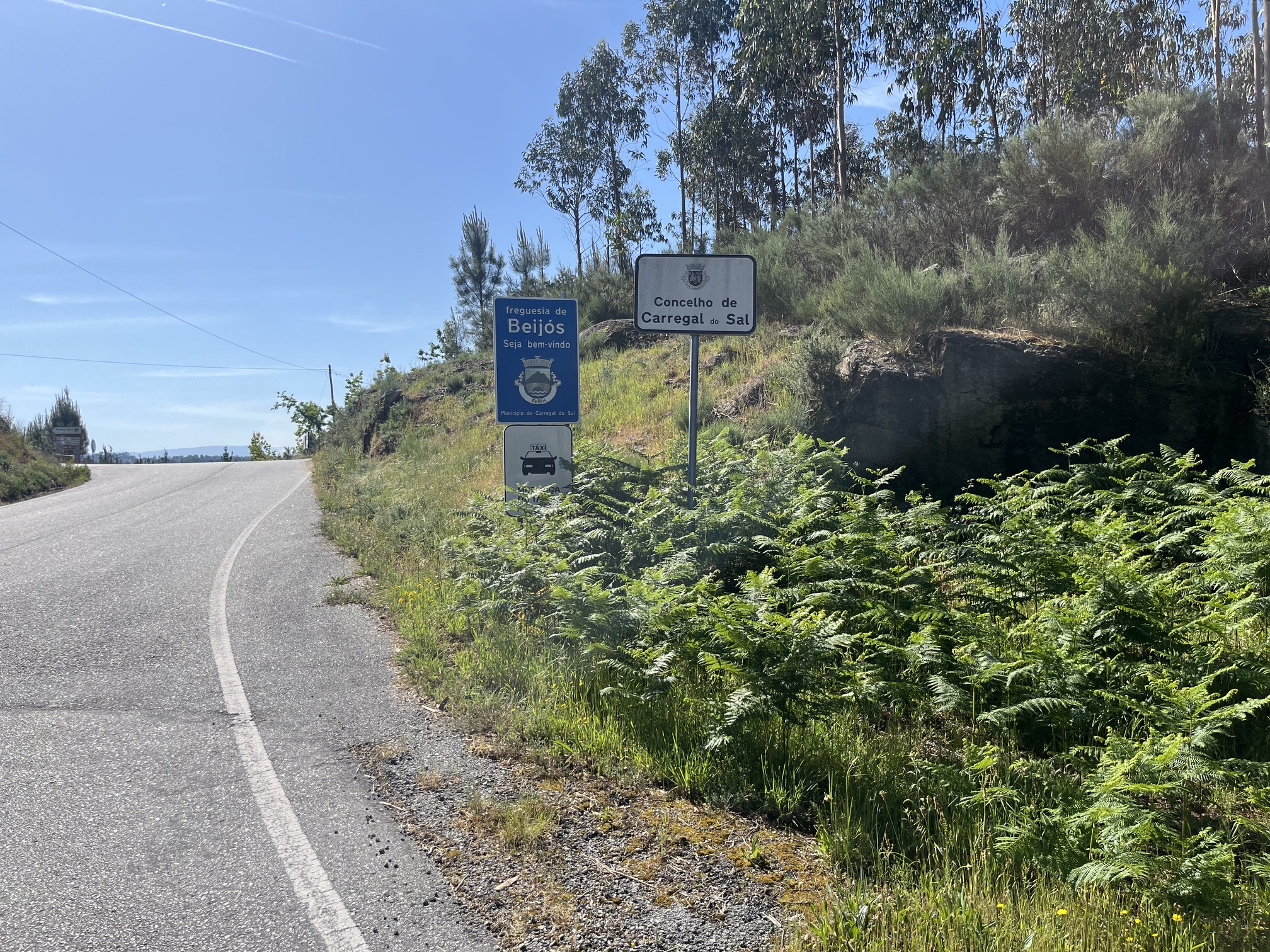 Regresso a Carregal do Sal