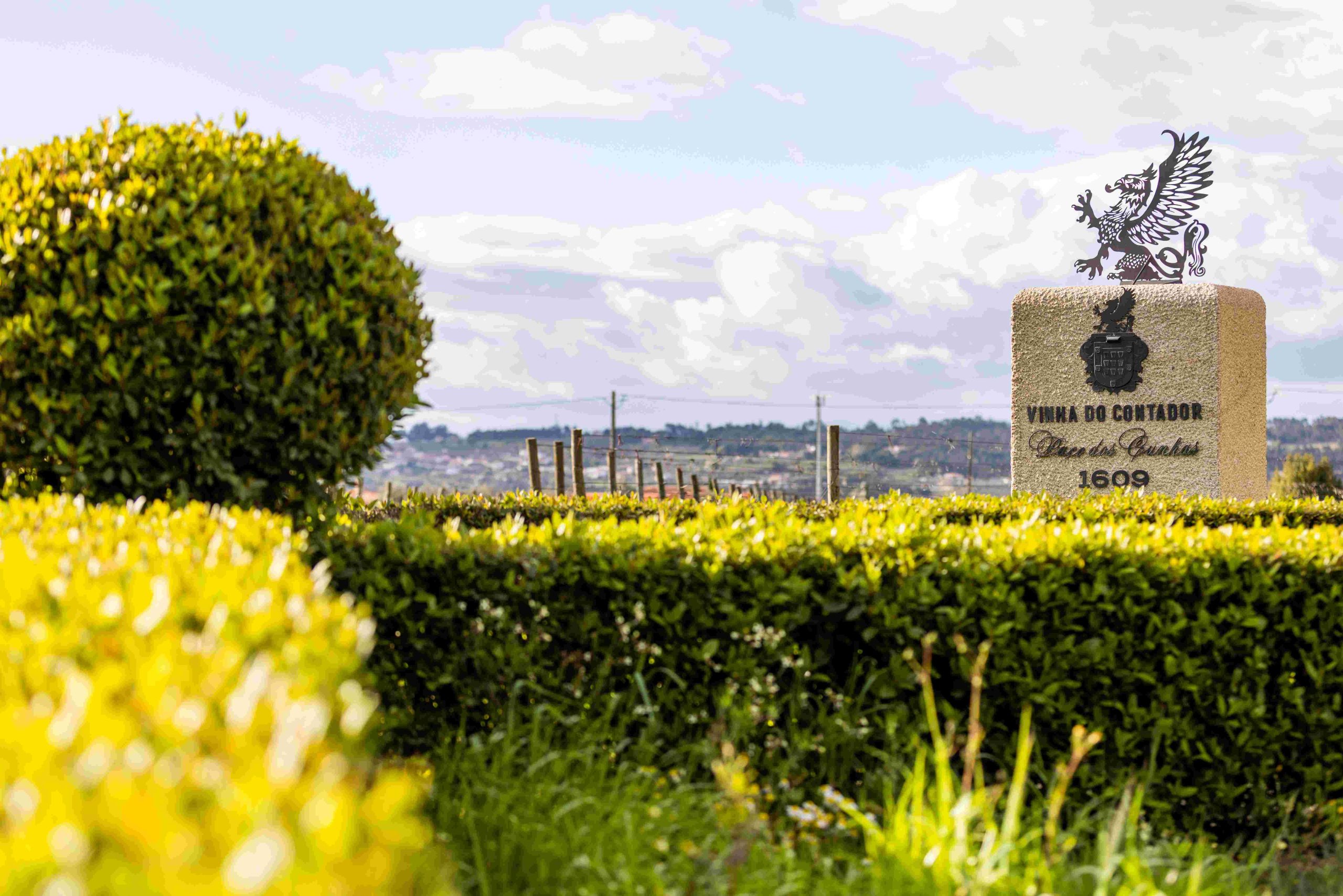 Global Wines, A arte de engarrafar o tempo!