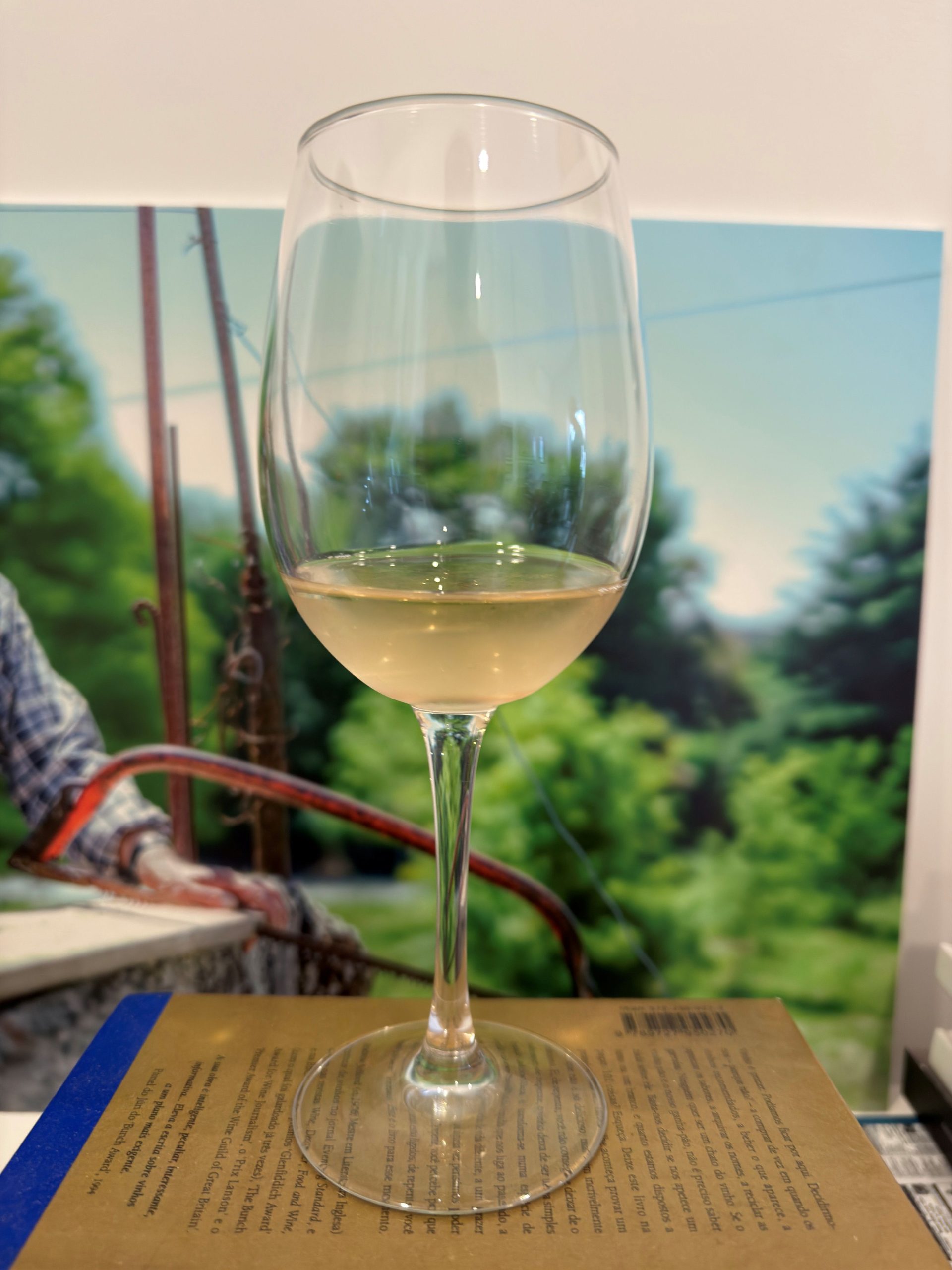 Um vinho viajado