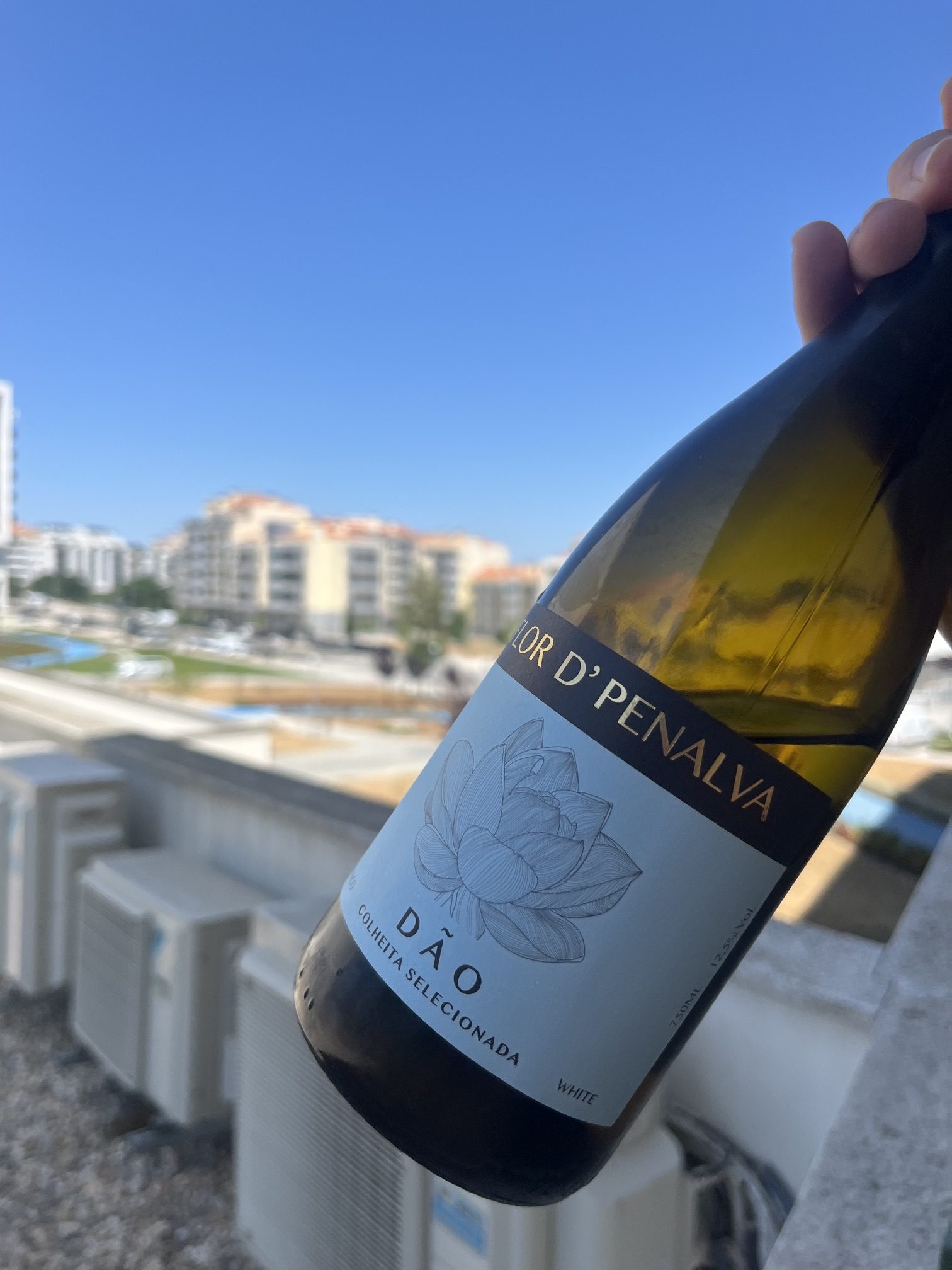 Flor D’ Penalva Branco 2024