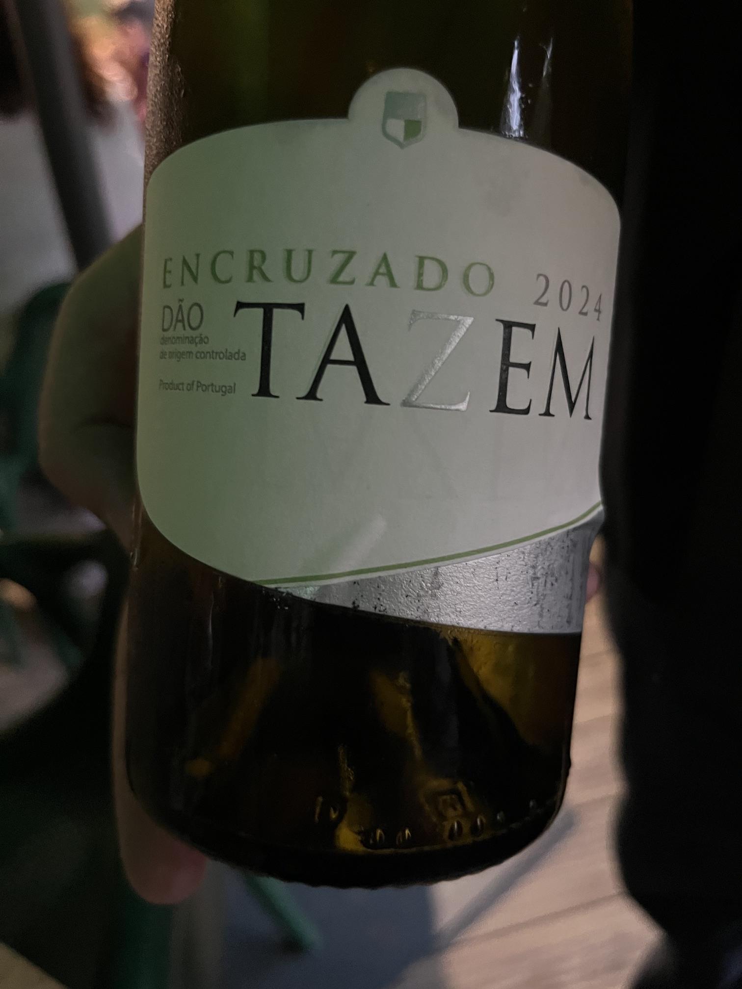 Adega de Tazem Encruzado 2024
